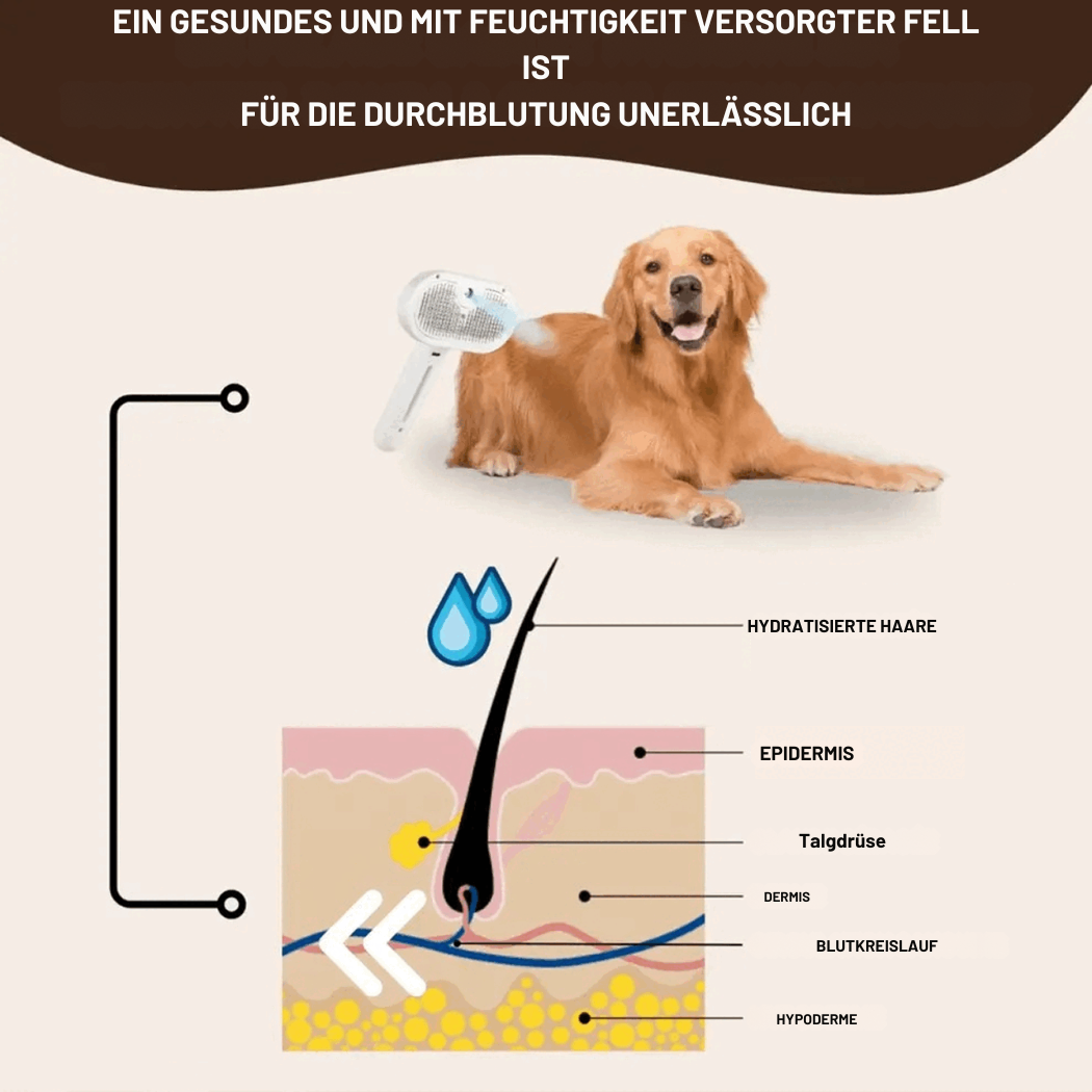 Kardierbürste – Fellpflege für Hunde und Katzen