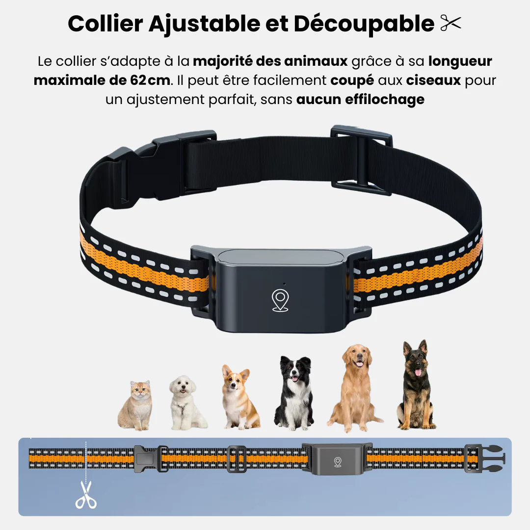 Collier GPS Sans Abonnement Narsago™ – Suivi Précis, Portée Illimitée
