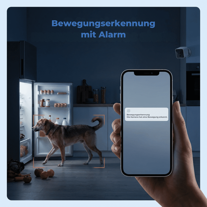 Diskrete kabellose WLAN-Sicherheitskamera 1080P – vernetzt & kompakt