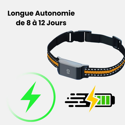 Collier GPS Sans Abonnement Narsago™ – Suivi Précis, Portée Illimitée