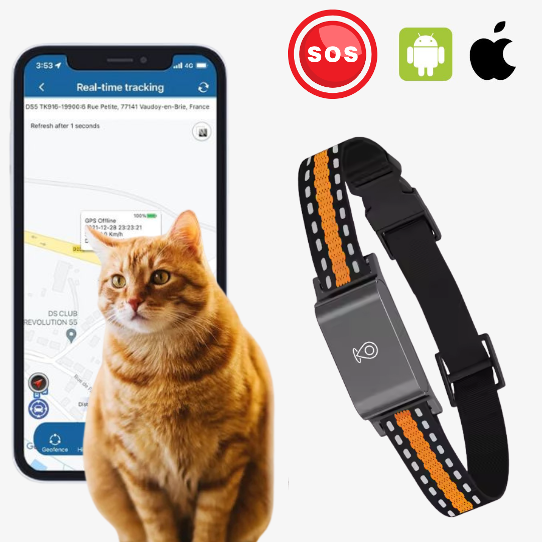Collier GPS Sans Abonnement Narsago™ – Suivi Précis, Portée Illimitée