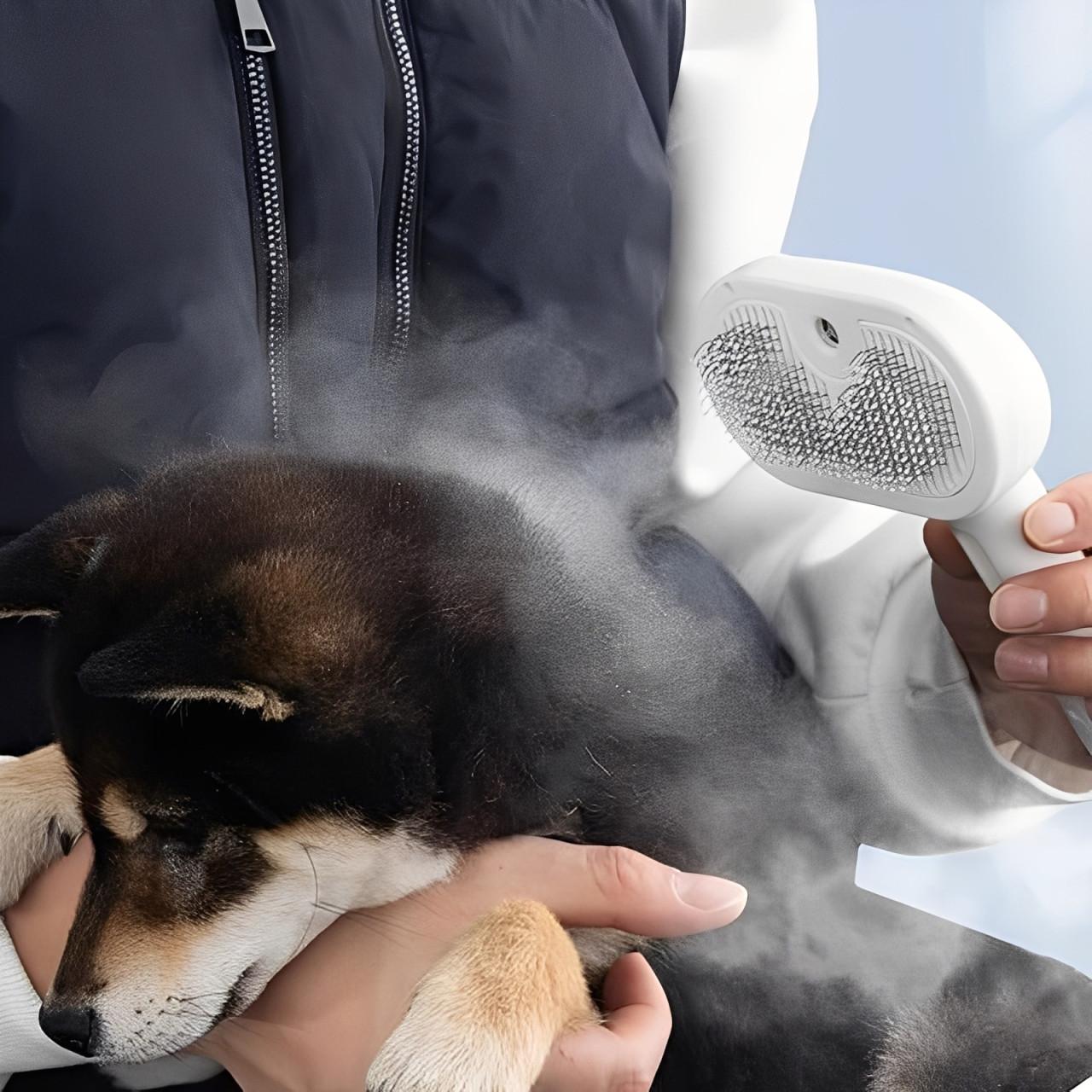 Brosse Carde - Toilettage Pour Chien Et Chat