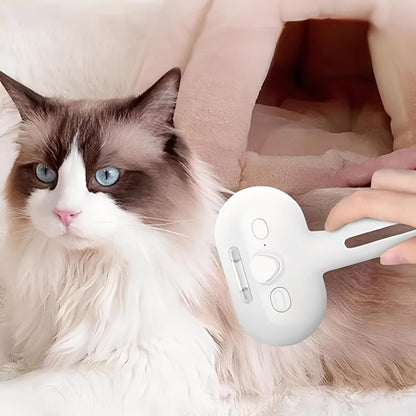 Brosse Carde - Toilettage Pour Chien Et Chat