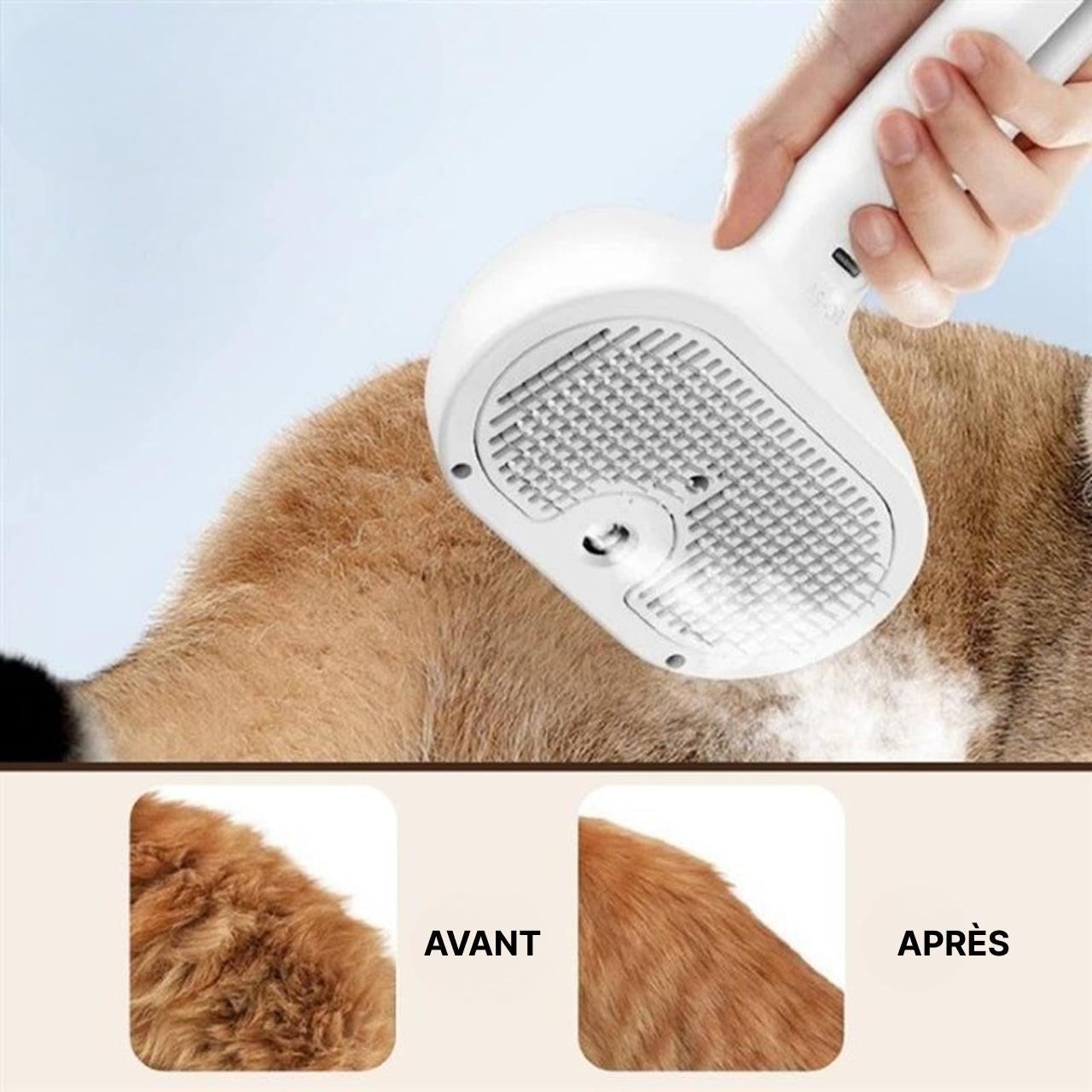 Brosse Carde - Toilettage Pour Chien Et Chat