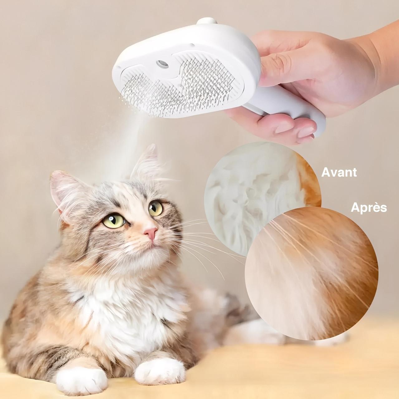 Brosse Carde - Toilettage Pour Chien Et Chat