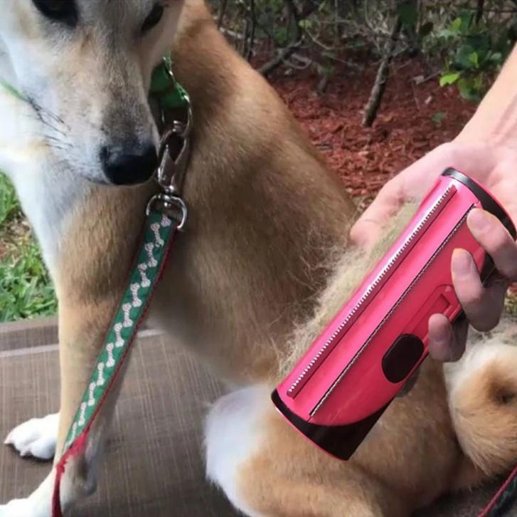 Brosse Pour Chien et Chat 3-en-1