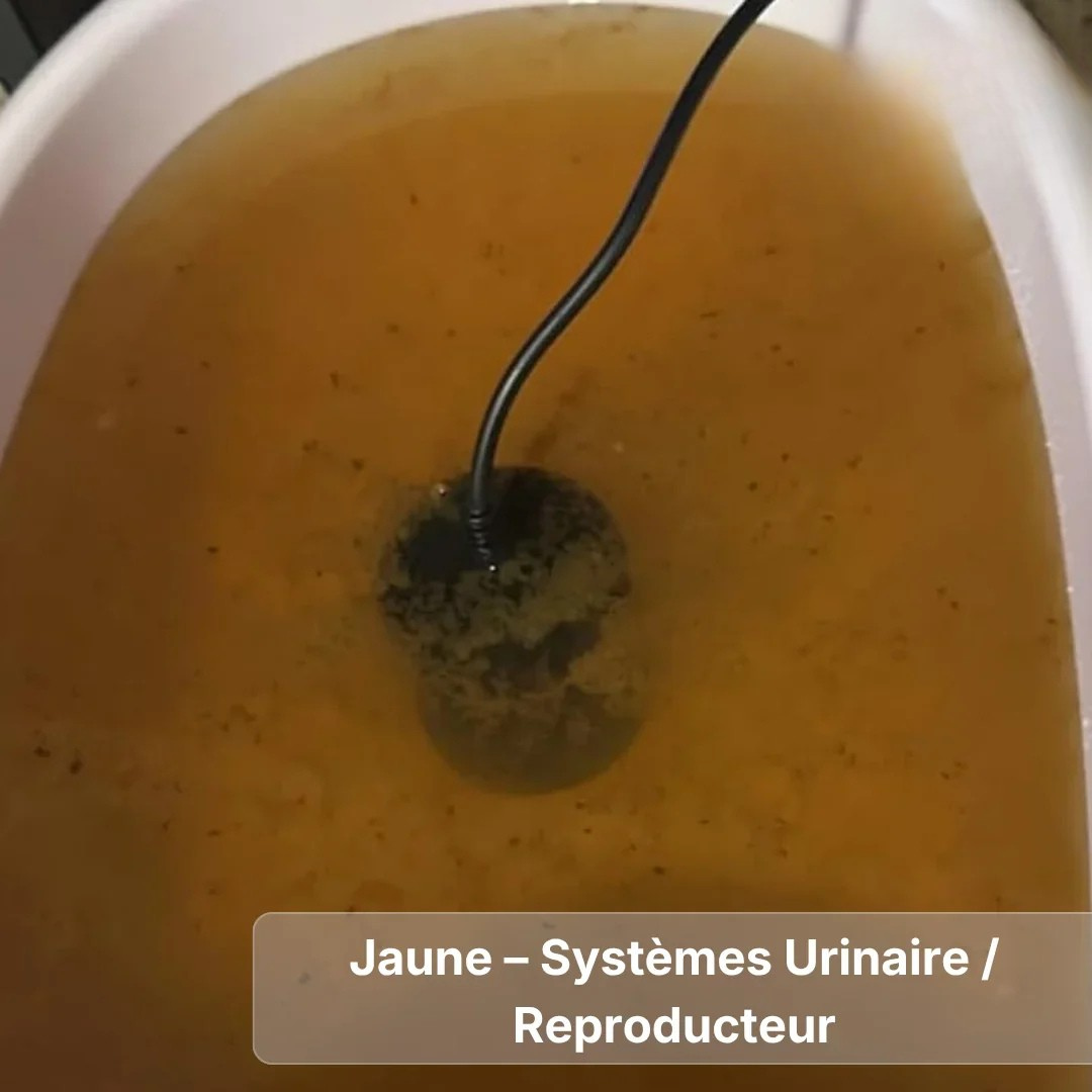 Bain Ionique Relaxant pour les Pieds