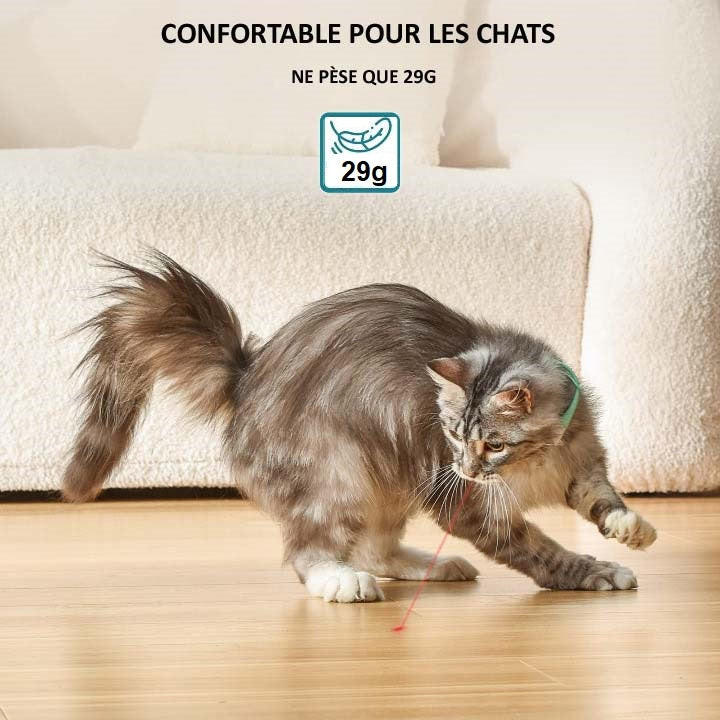 Collier Laser Pour Chat Automatique