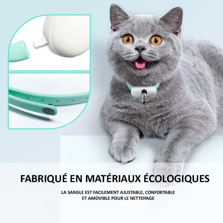 Collier Laser Pour Chat Automatique