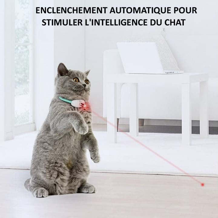 Collier Laser Pour Chat Automatique