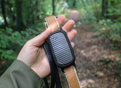 Collier GPS pour chien Helvora