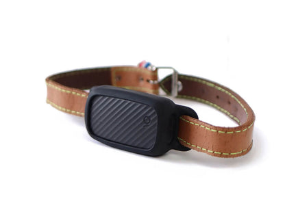 Collier GPS pour chien Helvora