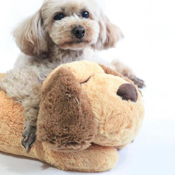 Peluche Câlin Pour Chien