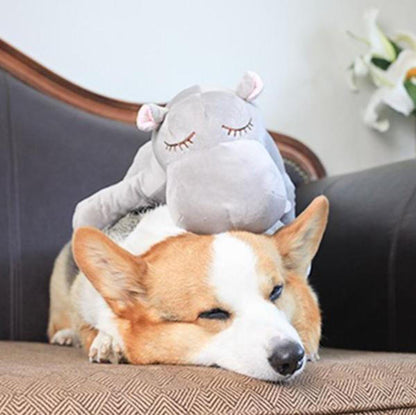 Peluche Câlin Pour Chien