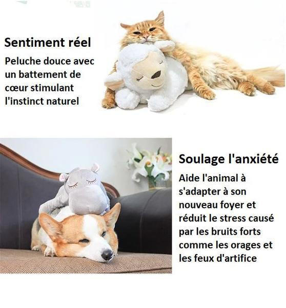 Peluche Câlin Pour Chien