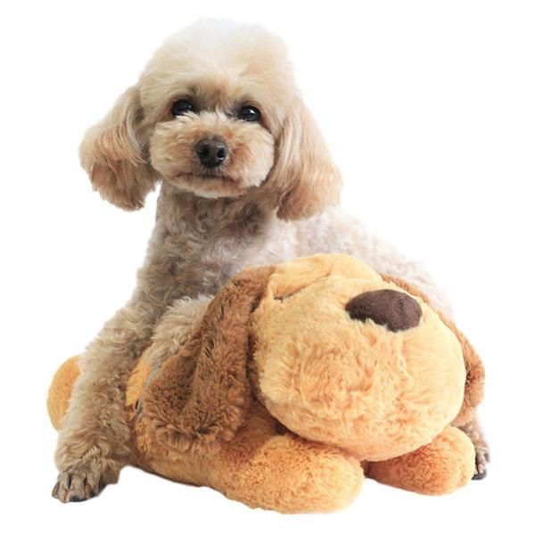Peluche Câlin Pour Chien