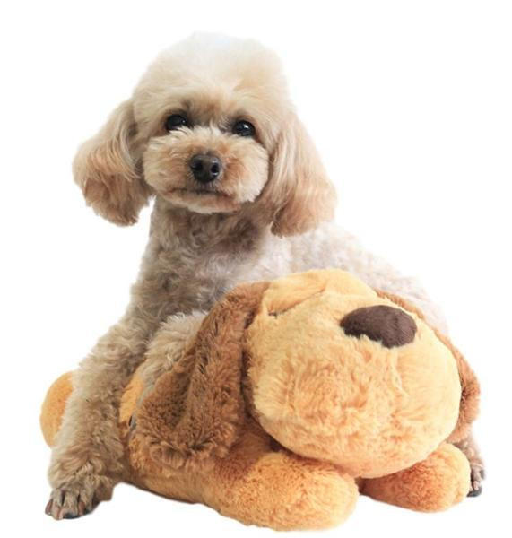 Peluche Câlin Pour Chien
