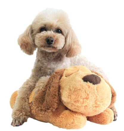 Peluche Câlin Pour Chien
